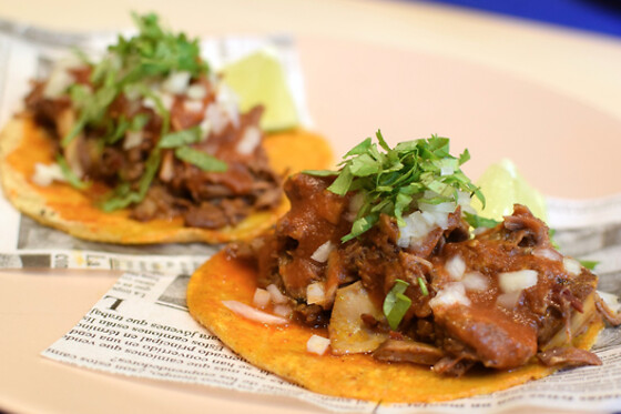 NIÑA BONITA CANTINA - photo 2