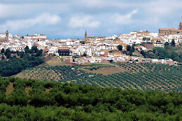 HOSTAL TEMÁTICO DE LA CIUDAD DE ARJONA DESDE LA JUDERÍA