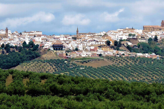 HOSTAL TEMÁTICO DE LA CIUDAD DE ARJONA DESDE LA JUDERÍA - photo 11