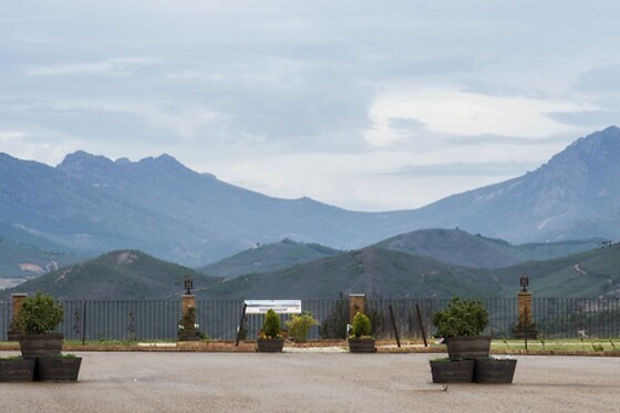 BODEGAS RUIZ TORRES - photo 7