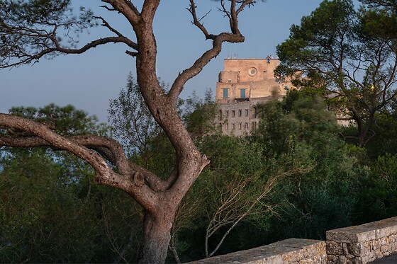 SANT SALVADOR HOSTATGERIA - photo 11