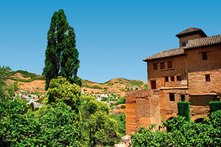 Evasión entre viñedos