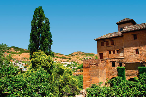 Evasión entre viñedos