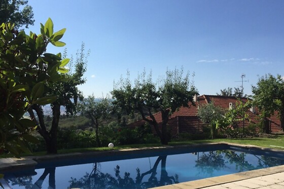 Quinta da Mata - photo 2