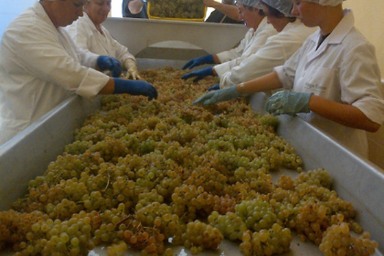 BODEGA ADEGA EIDOS - photo 9