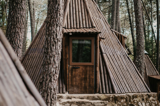 GLAMPING THE TEEPEE - photo 5