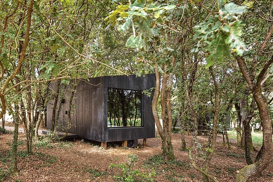 A LEIRA - photo 2