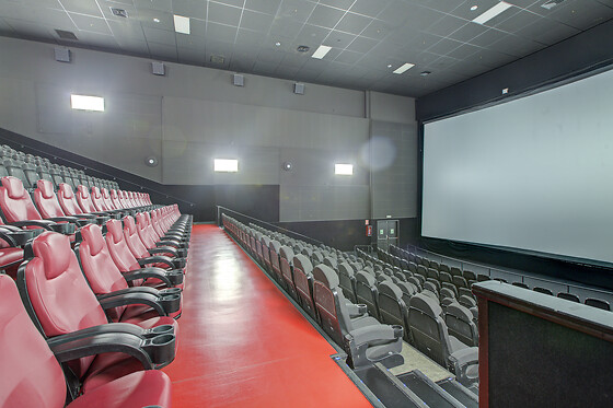 CINESA - photo 12