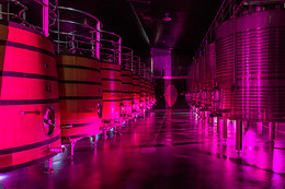 BODEGAS REGINA VIARUM