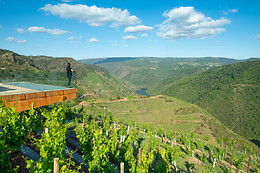 BODEGAS REGINA VIARUM