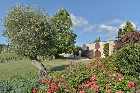 BODEGAS REGINA VIARUM - photo 3