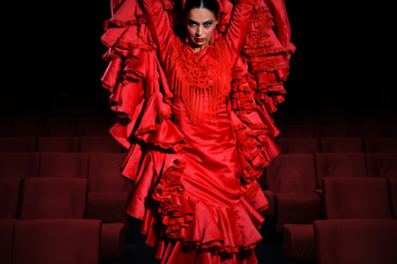 TEATRO FLAMENCO MADRID - photo 9