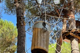 AVENTURA TORRELINO