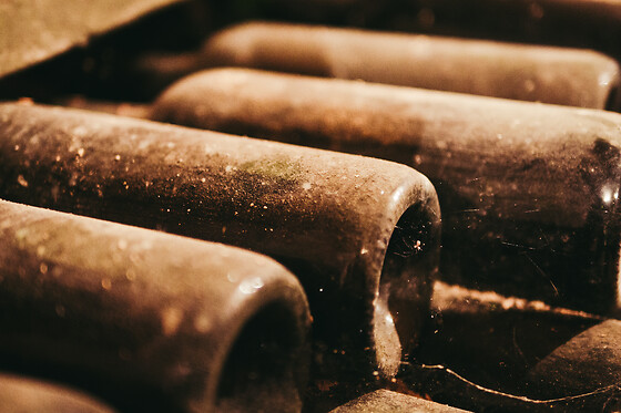 BODEGA REMIGIO SALAS JALÓN - photo 1