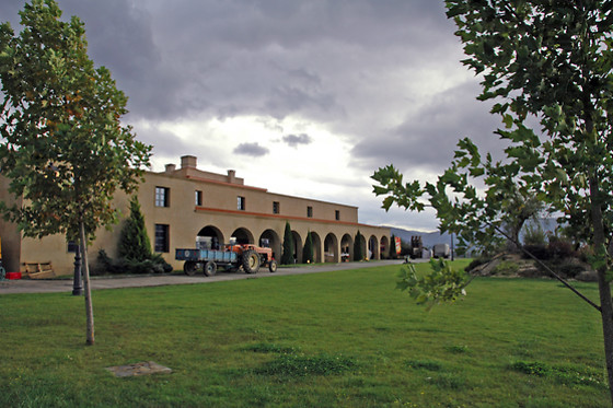 BODEGAS REGINA VIARUM - photo 7