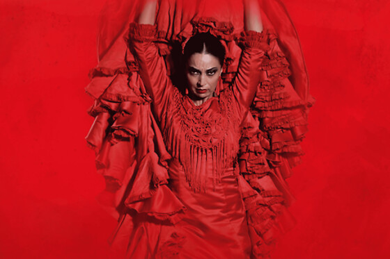 TEATRO FLAMENCO BARCELONA - photo 0