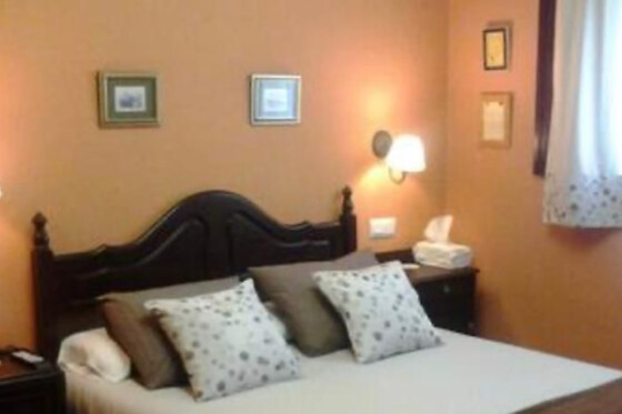 HOTEL FORONDA - photo 6