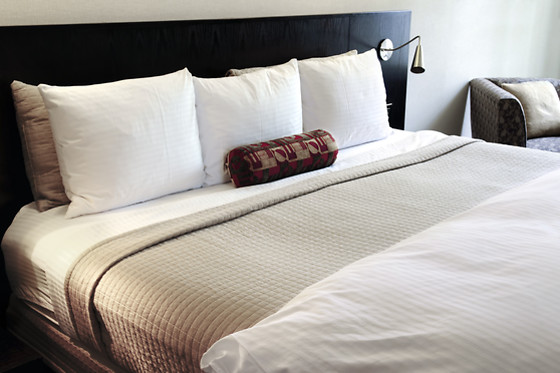 HOTEL ARVA SPA PARIS - photo 12