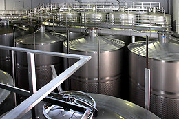 BODEGAS RUIZ TORRES