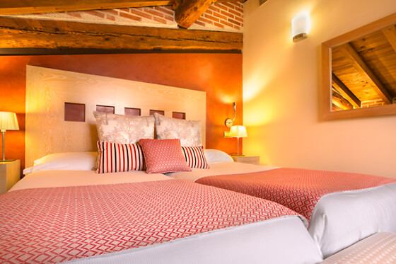 HOTEL IZAN PUERTA DE GREDOS - photo 27