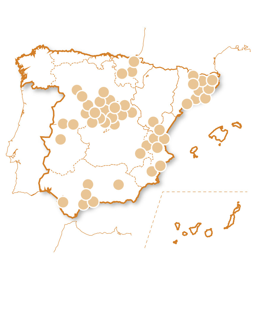 100% conducción