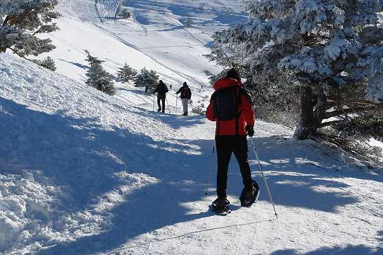 AVENTURA TORRELINO - photo 6