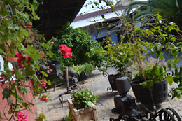 BODEGAS IGLESIAS