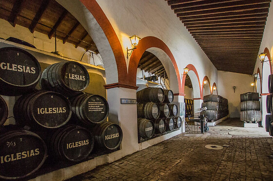 BODEGAS IGLESIAS - photo 0