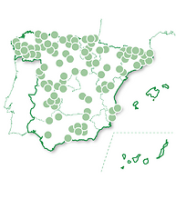 Evasión entre viñedos