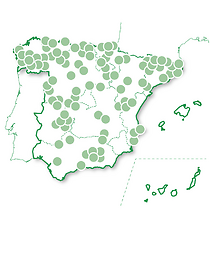Evasión entre viñedos