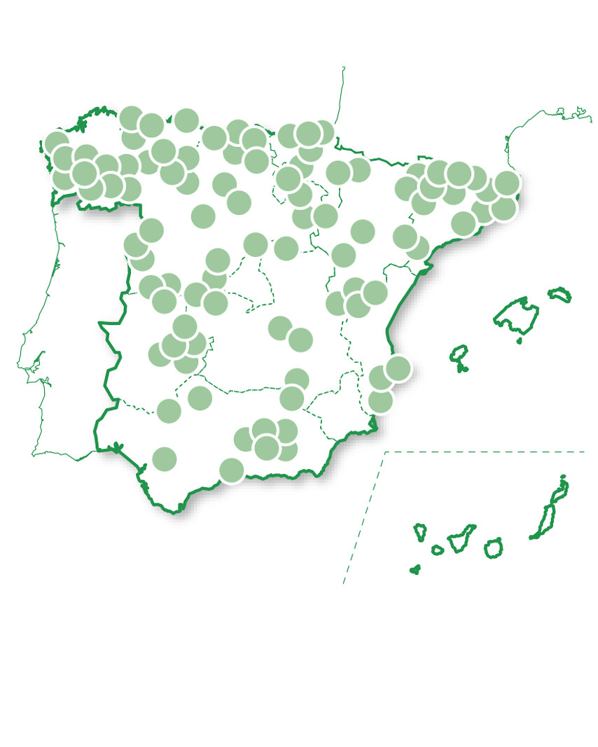 Evasión entre viñedos