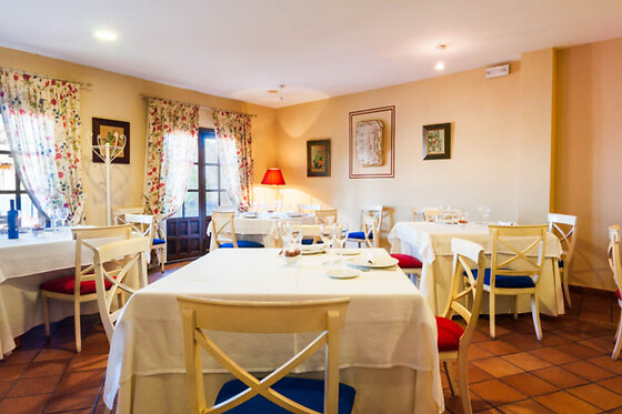 HOTEL PALACIO LAS MANILLAS - photo 10