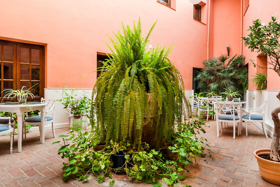 HOTEL PALACIO LAS MANILLAS - photo 11
