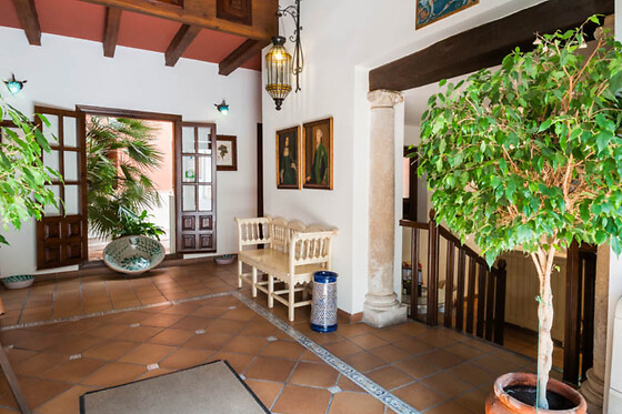 HOTEL PALACIO LAS MANILLAS - photo 16