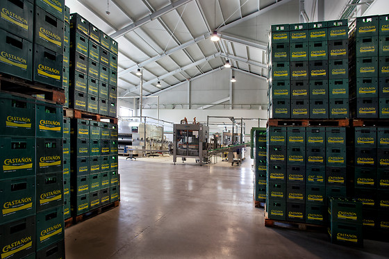 LLAGAR SIDRA CASTAÑON - photo 6