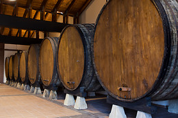 LLAGAR SIDRA CASTAÑON