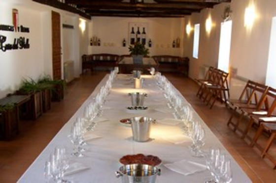 BODEGAS Y VIÑEDOS CASA DEL VALLE - photo 12