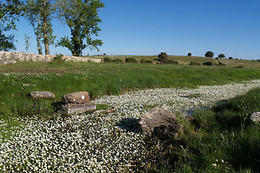 BALNEARIO DE ALMEIDA LA DAMA VERDE
