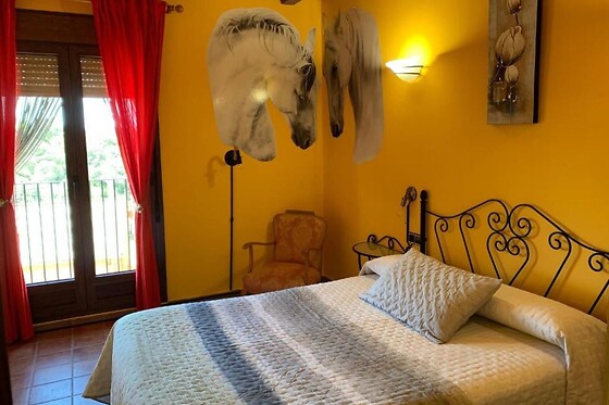 CASA OLIVA - photo 3