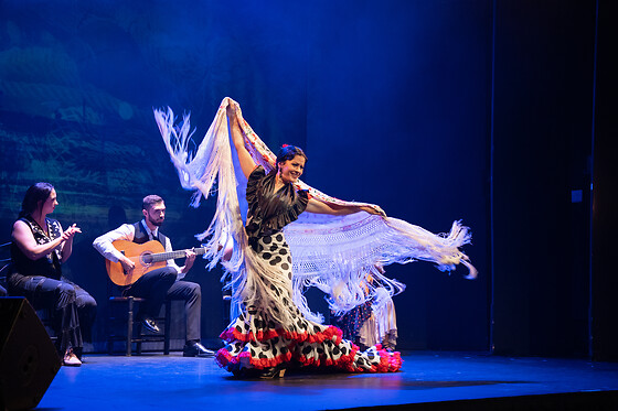 TEATRO FLAMENCO BARCELONA - photo 4